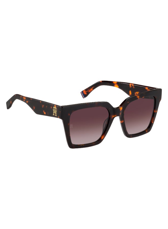 TOMMY HILFIGER SQUARE TOMMY HILFIGER SUNGLASSES FRAMES - Image 2